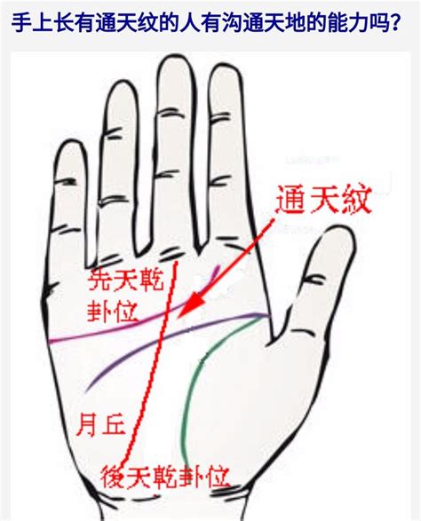 通天紋分叉|手相：手握「通天紋」事業財運有望一飛沖天